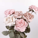 Dried-look Artificial Rose Stem 56cmH
